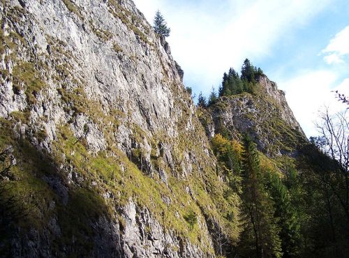 Rezerwat przyrody Wąwóz Homole